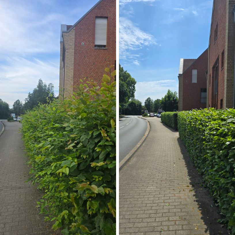 Gartenpflege – Referenzfoto 5 von 16